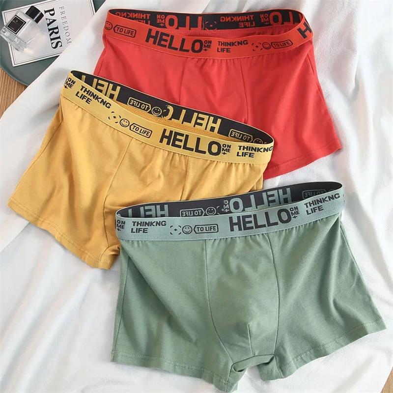 10 조각/남성 속옷 남성 순수 코튼 팬티 남성 브랜드 - Boxer Shorts Modal 리뷰 및 가격