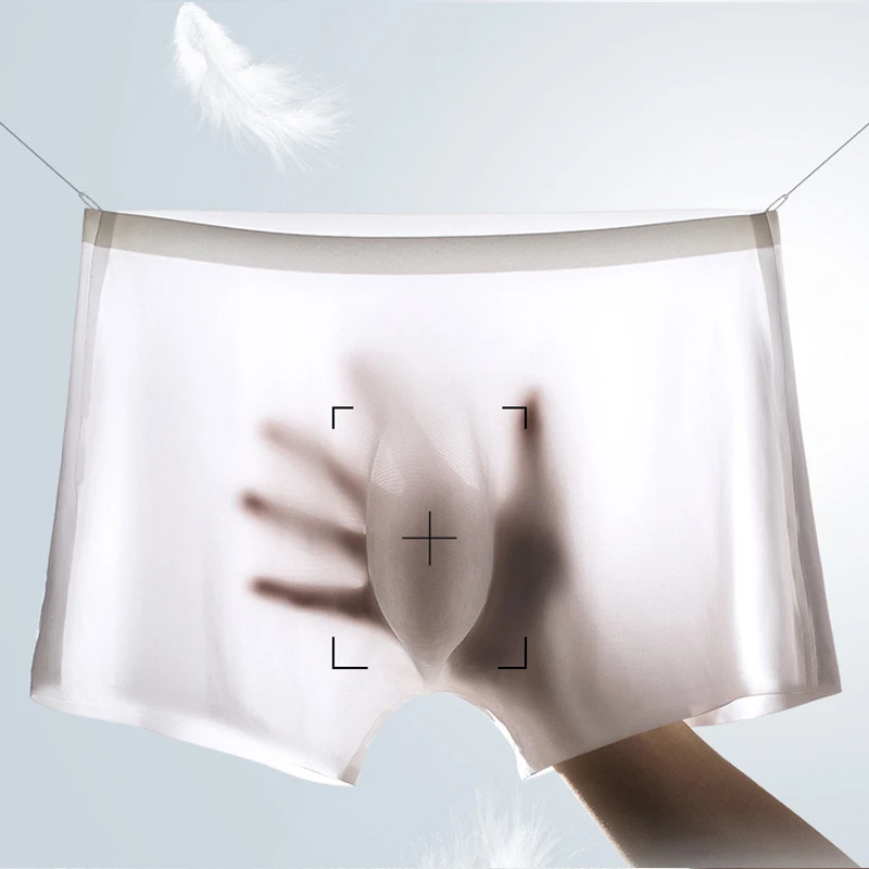 10 개/몫 남자 여름 얼음 실크 복서 팬티 원활한 속 - Boxer Shorts Modal 리뷰 및 가격