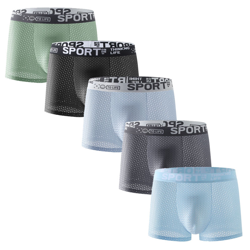 남성용 아이스 실크 메쉬 팬티 5종 세트, 섹시하고 통 - Mesh Sport Boxer 리뷰 및 가격