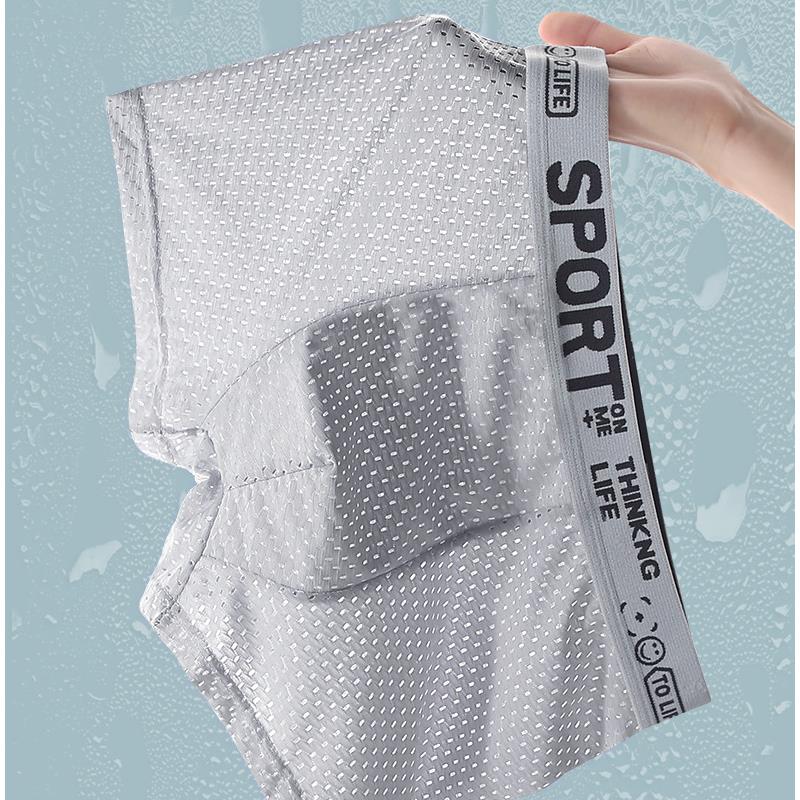 남성용 아이스 실크 메쉬 팬티 5종 세트, 섹시하고 통 - Mesh Sport Boxer 리뷰 및 가격