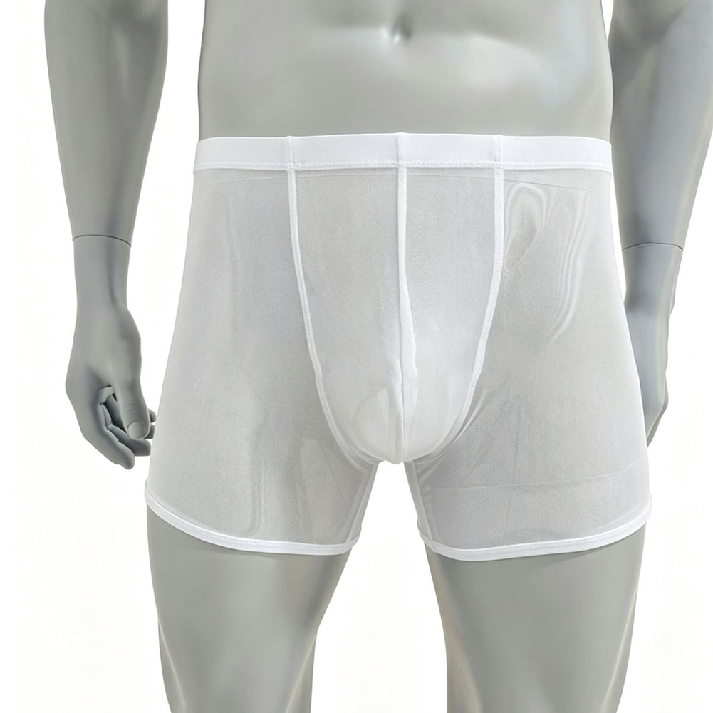 남성용 메쉬 시스루 초박형 복서 반바지 속옷 하이웨이스 - Long Leg Trunk Men 리뷰 및 가격